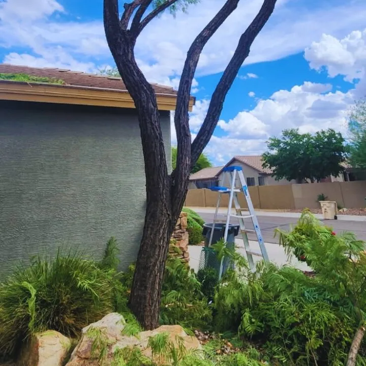 Custom residential landscaping in Phoenix, AZ by Angel Landscaping