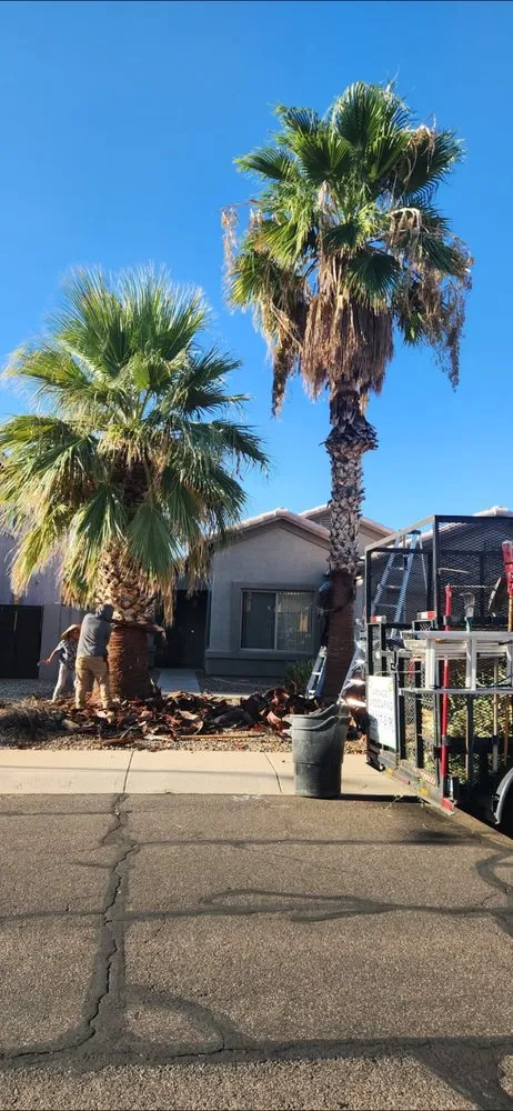 Affordable yard cleanup service near you in Phoenix, AZ by Angel Landscaping
