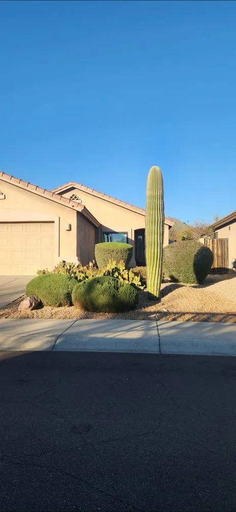 Professional yard maintenance near you across Phoenix, AZ - Angel Landscaping