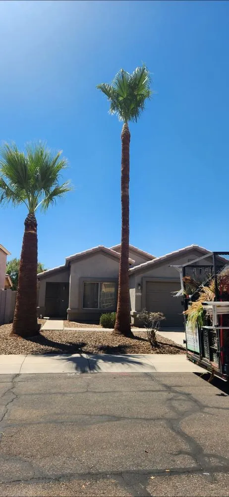 Reliable garden landscaping in Phoenix, AZ - Angel Landscaping