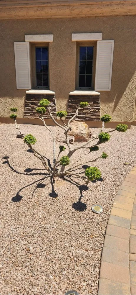 Professional garden landscaping for homes in Phoenix, AZ by Angel Landscaping