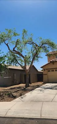 Angel Landscaping Logo