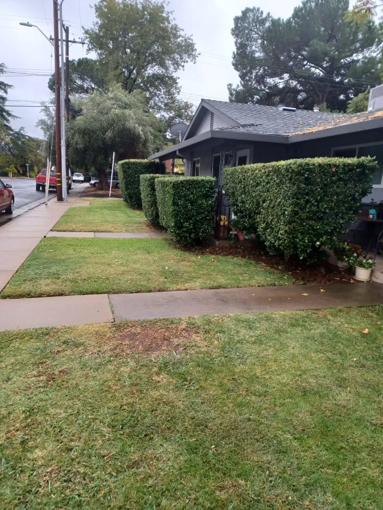 Affordable landscape design in Roseville, CA - Angel Landscaping