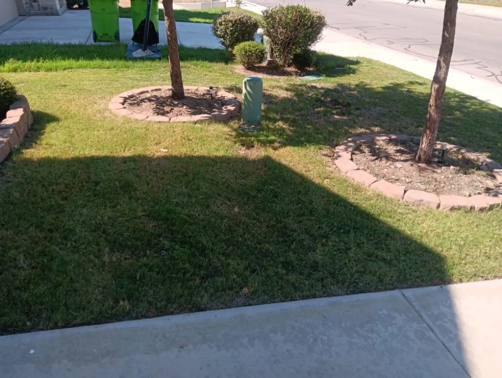 Affordable yard cleanup service with custom design across San Antonio, TX - Angel Landscaping