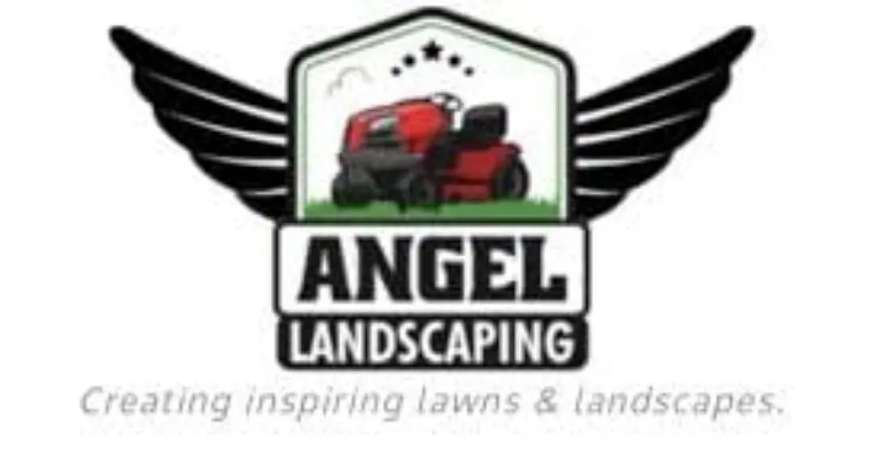 Affordable yard cleanup service experts serving San Antonio, TX - Angel Landscaping