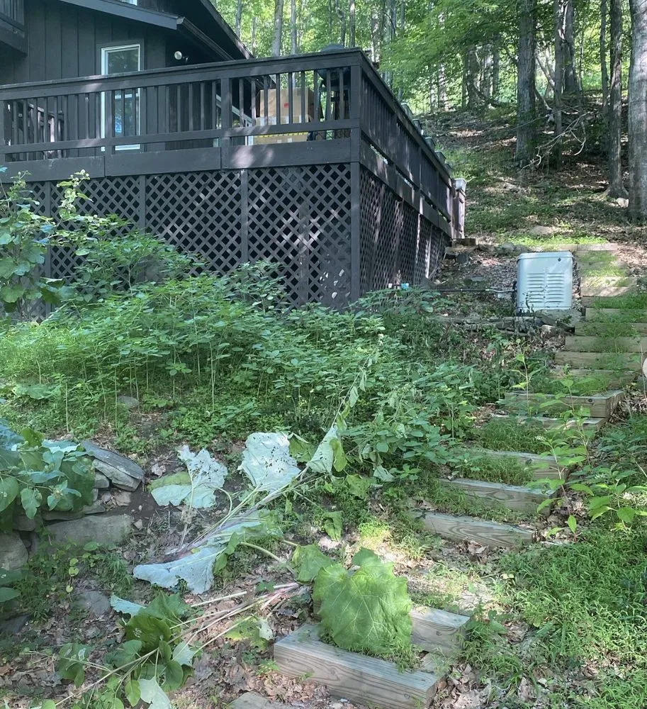 Trusted lawn care service experts serving Woodstock, NY - Angel Landscaping