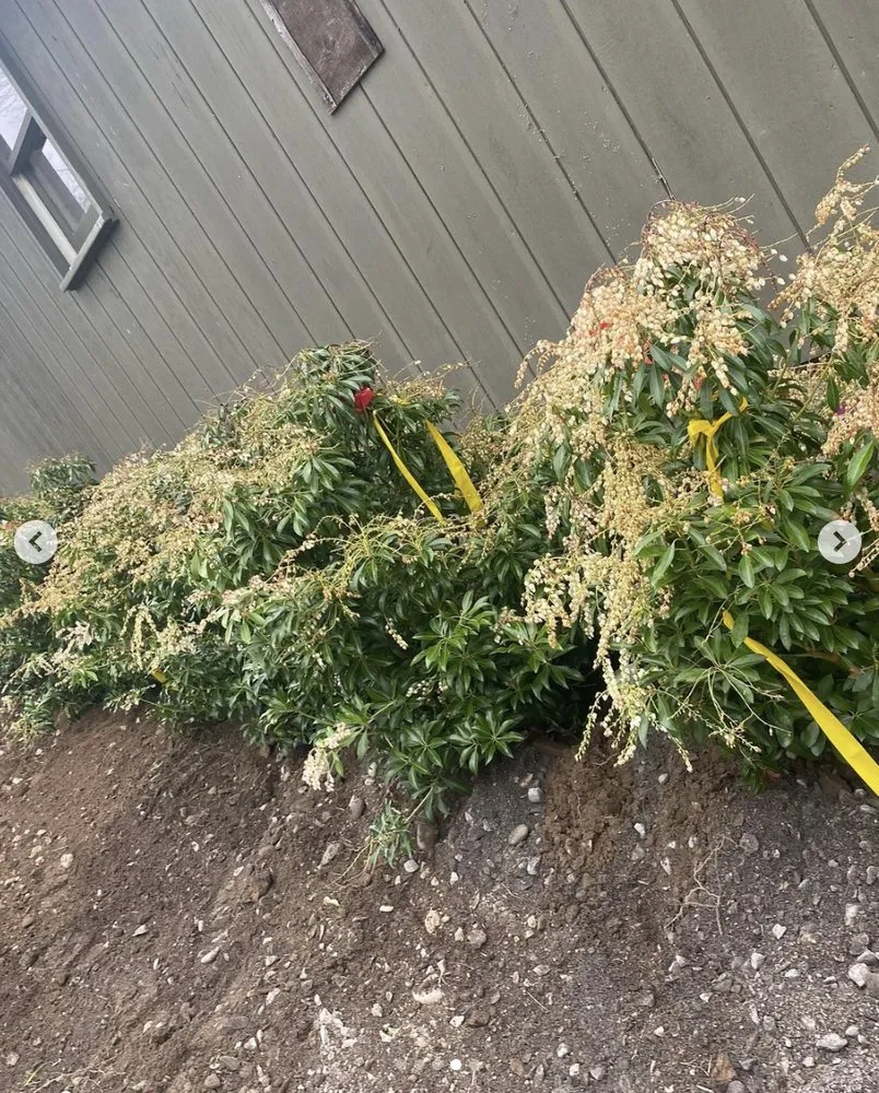 Top-rated yard maintenance in Woodstock, NY by Angel Landscaping