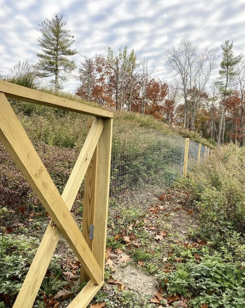 Expert yard cleanup service for homes in Woodstock, NY by Angel Landscaping