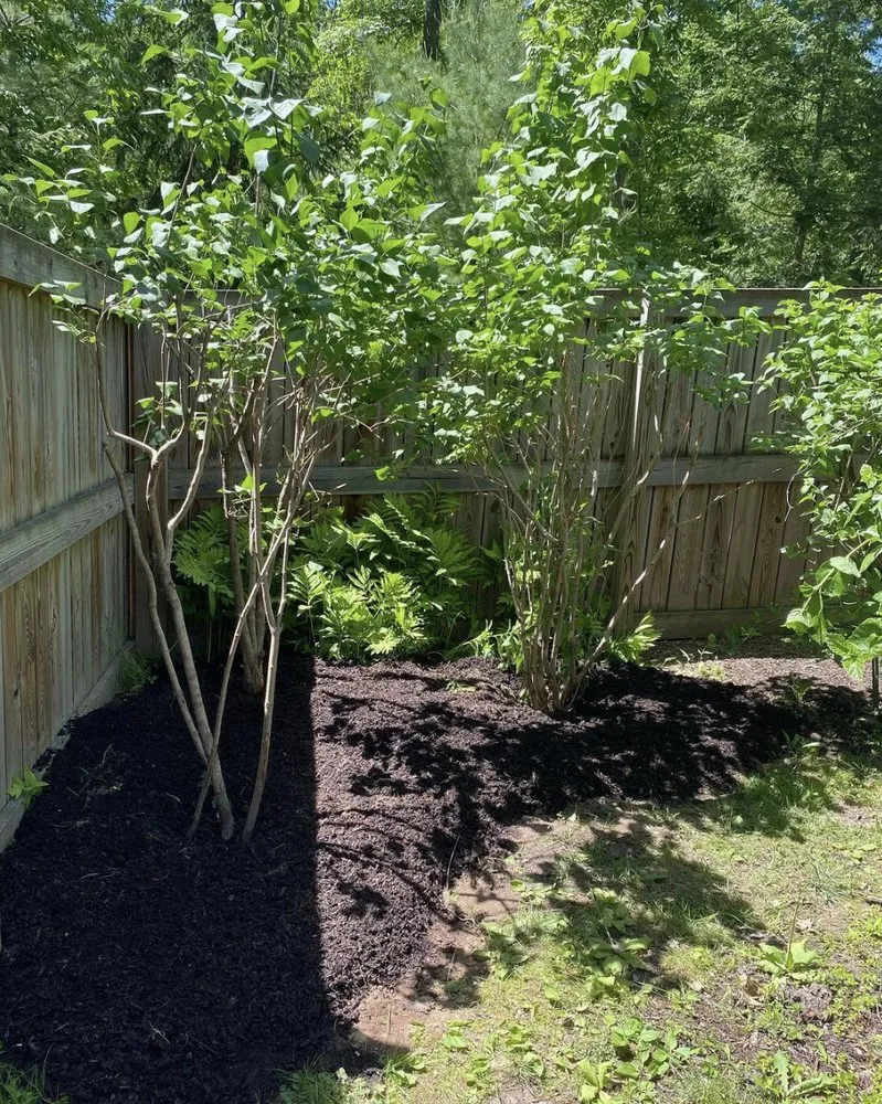 Local yard maintenance in Woodstock, NY - Angel Landscaping