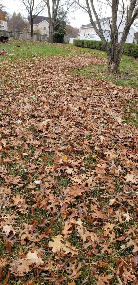 Affordable landscape installation experts serving Jessup, MD - Angel Lansdcaping