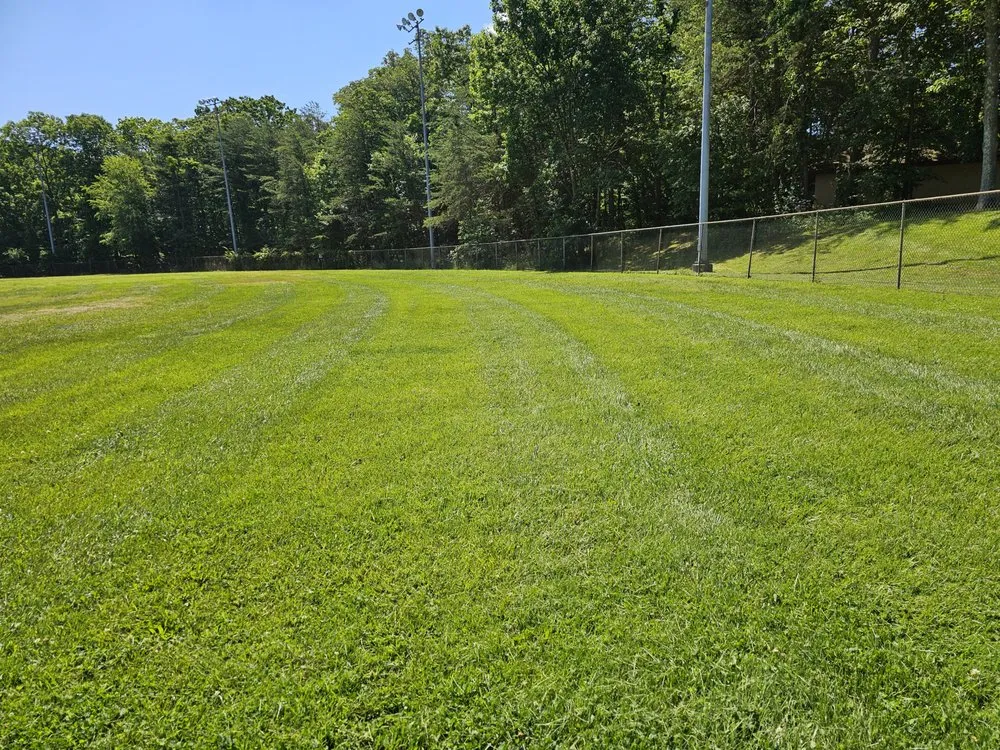 Affordable yard maintenance for year-round maintenance across Jessup, MD - Angel Lansdcaping