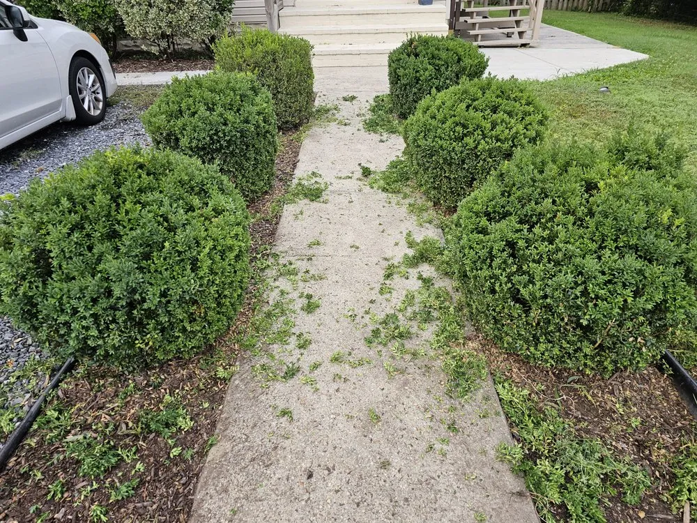 Top-rated lawn mowing service experts serving Jessup, MD - Angel Lansdcaping