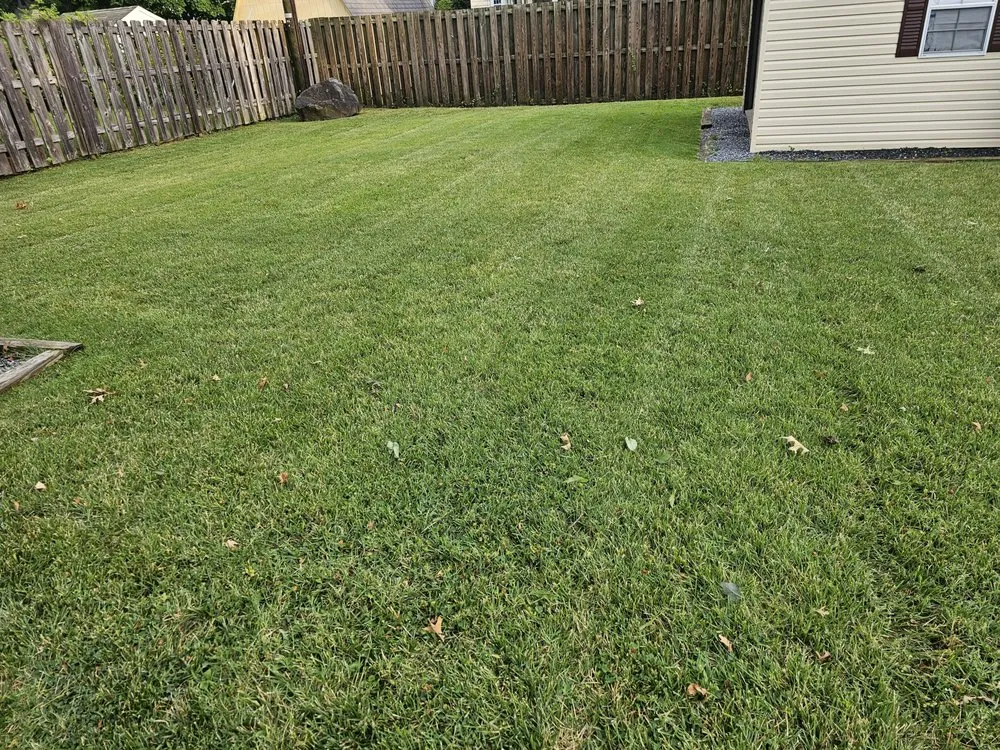 Top-rated yard maintenance in Jessup, MD - Angel Lansdcaping