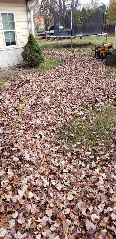 Reliable garden landscaping for beautiful yards in Jessup, MD by Angel Lansdcaping