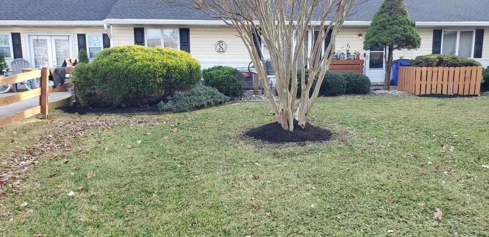 Expert yard cleanup service for beautiful yards in Jessup, MD by Angel Lansdcaping