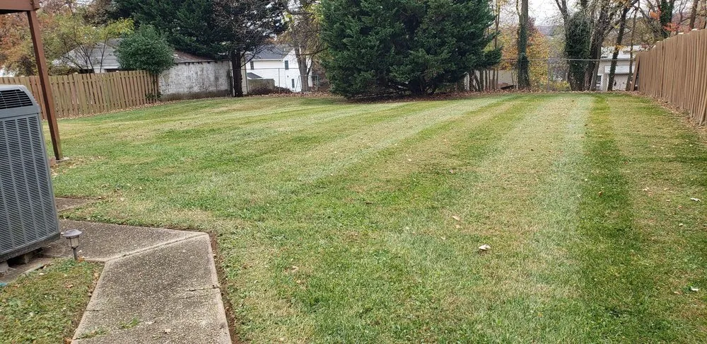 Reliable lawn care service experts serving Jessup, MD - Angel Lansdcaping