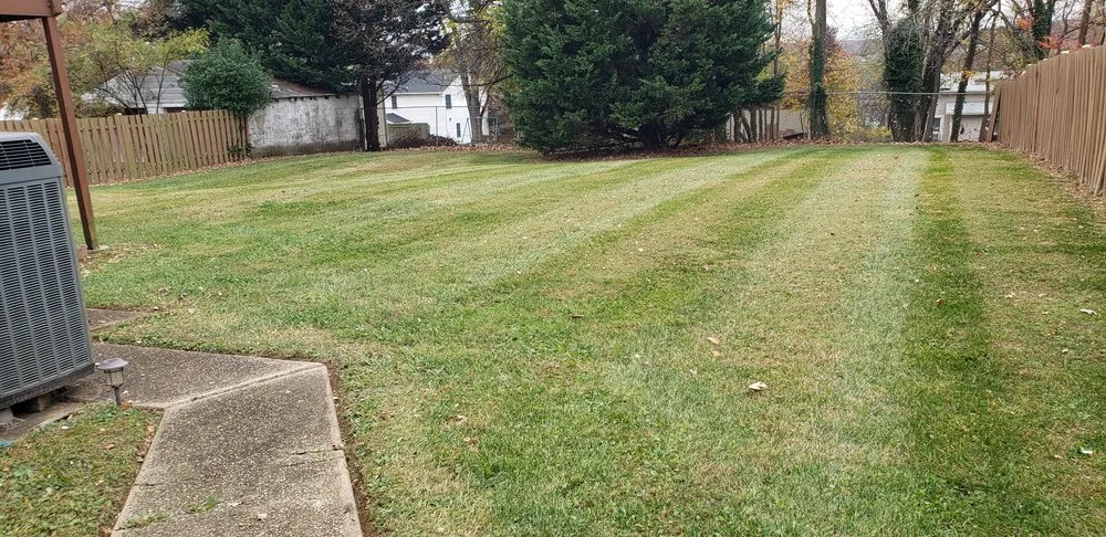 Top-rated residential landscaping experts serving Jessup, MD - Angel Lansdcaping