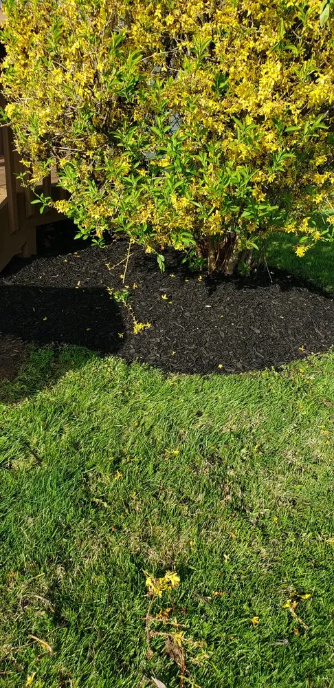 Affordable lawn mowing service near you across Jessup, MD - Angel Lansdcaping