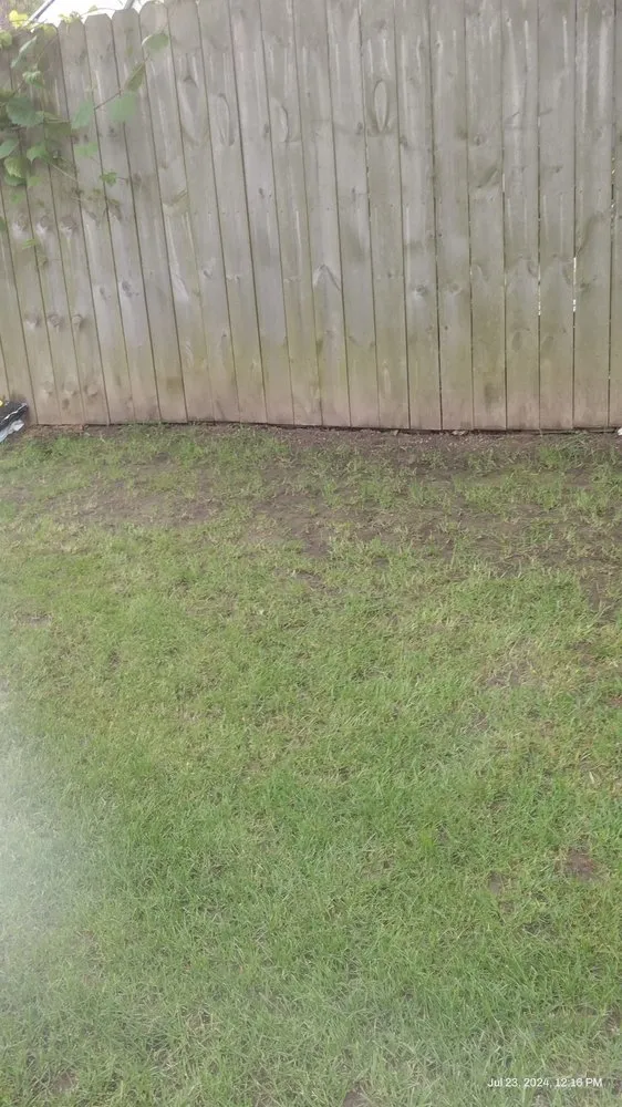 Reliable lawn mowing service in Racine, WI by Angel Lawn Care