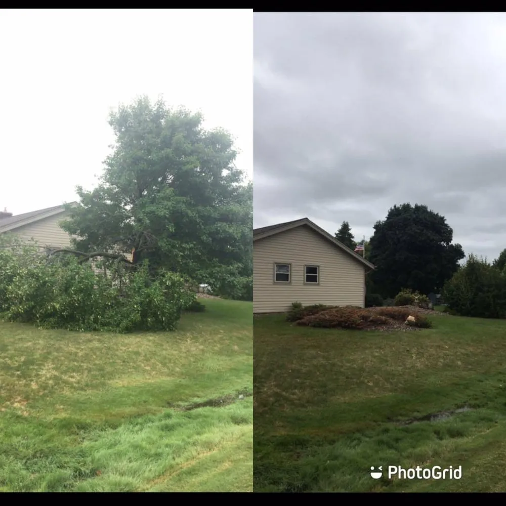 Reliable yard cleanup service in Racine, WI by Angel Lawn Care