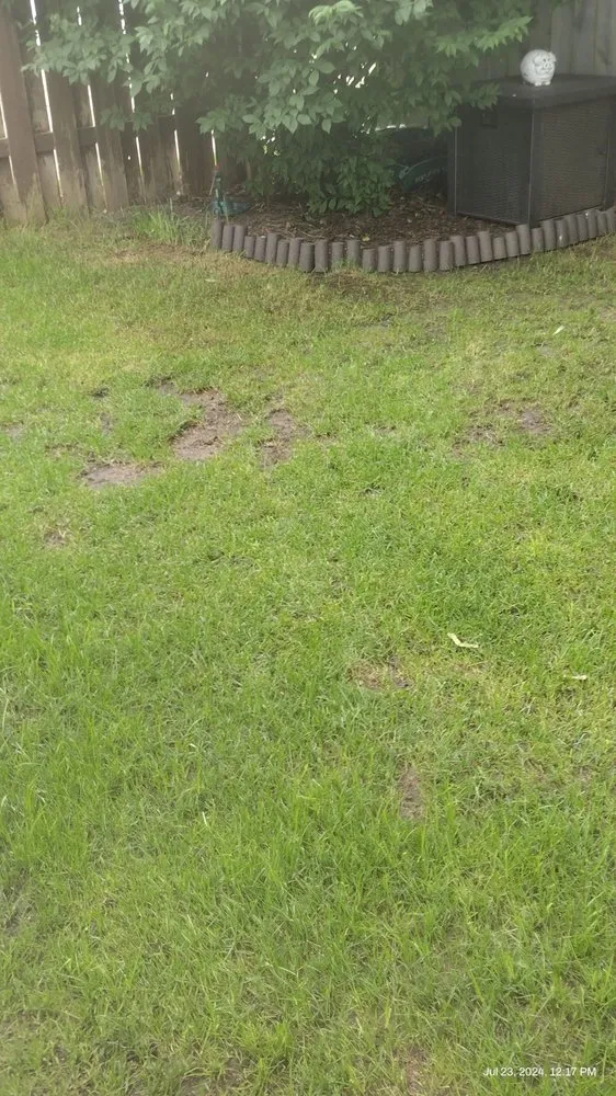 Trusted landscaping services for beautiful yards in Racine, WI by Angel Lawn Care