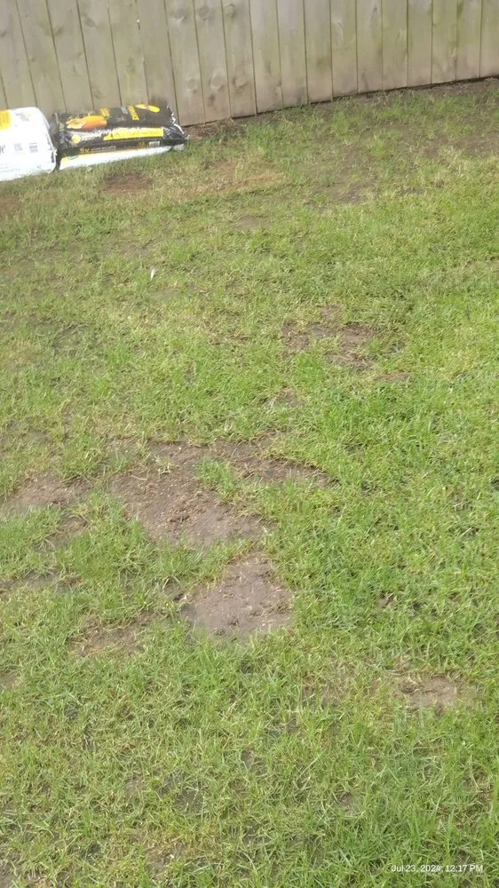 Local yard cleanup service for residential properties across Racine, WI - Angel Lawn Care