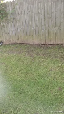 Angel Lawn Care Logo