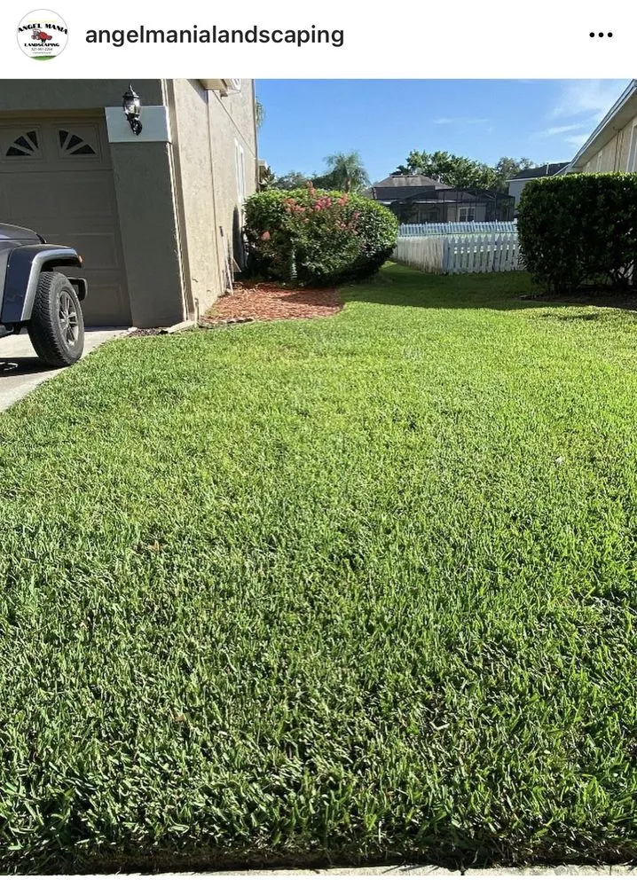 Trusted outdoor landscaping in Winter Springs, FL by Angel Mania Landscaping