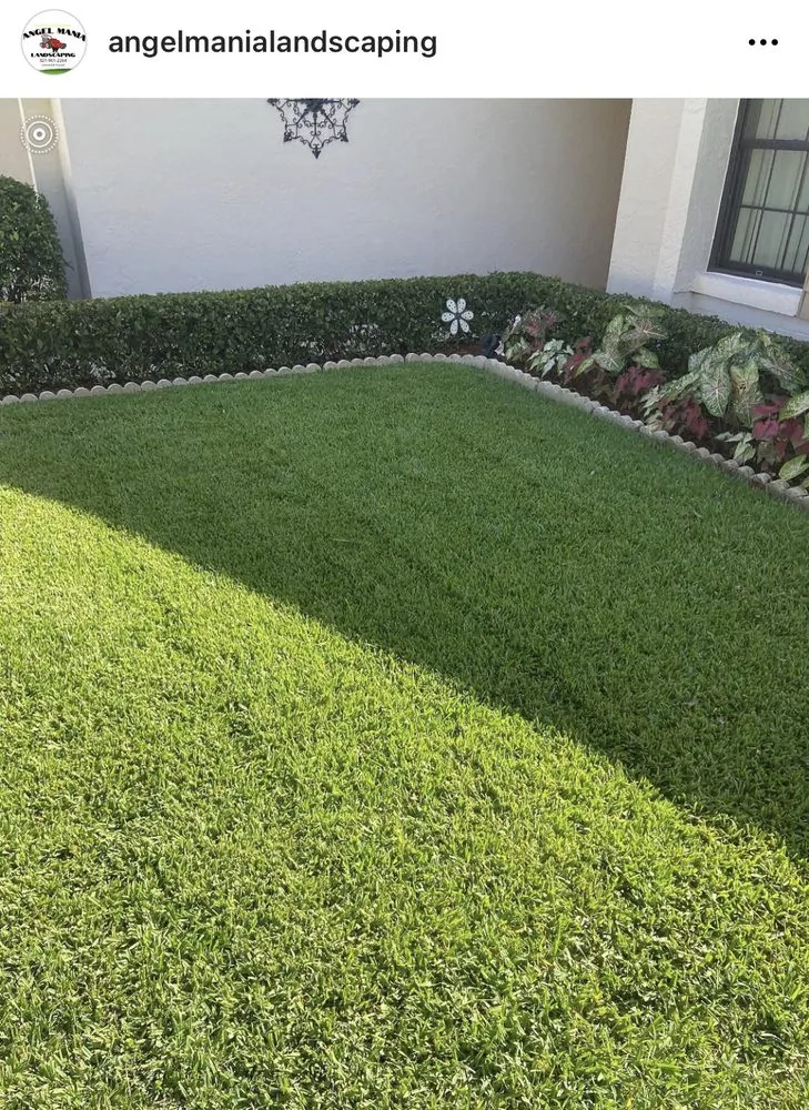 Local yard cleanup service in Winter Springs, FL - Angel Mania Landscaping