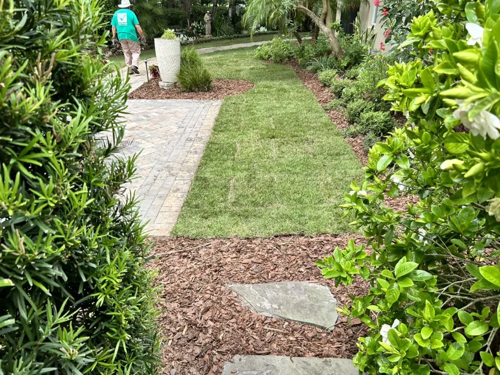 Affordable landscaping services in Winter Springs, FL by Angel Mania Landscaping