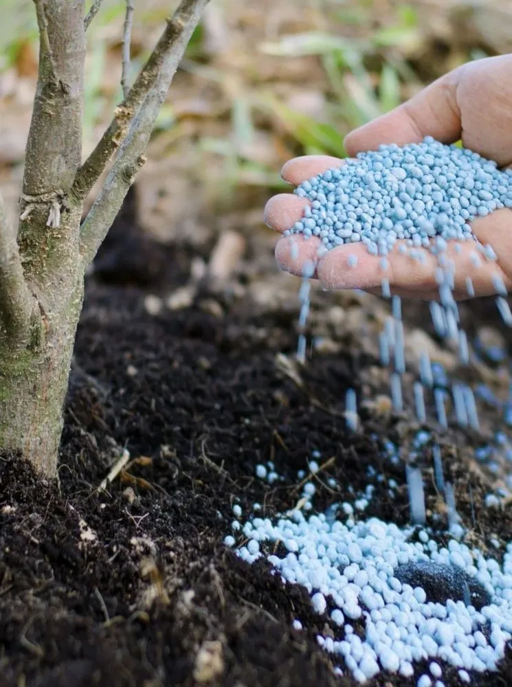 Expert landscape design in Edmonds, WA - Angel Miguel's landscaping maintenance service