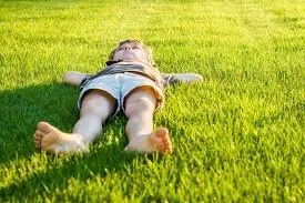 Top-rated landscape installation experts serving Edmonds, WA - Angel Miguel's landscaping maintenance service