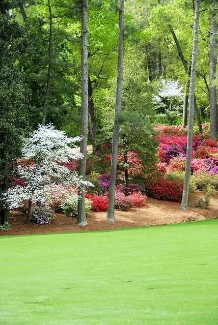 Top-rated landscape installation in Edmonds, WA by Angel Miguel's landscaping maintenance service