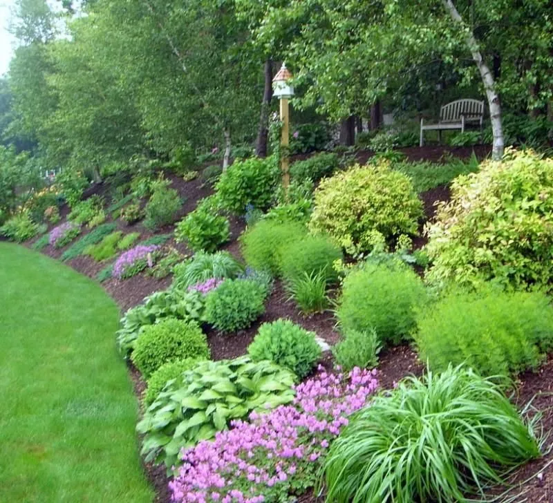 Expert landscaping services for homes in Edmonds, WA by Angel Miguel's landscaping maintenance service