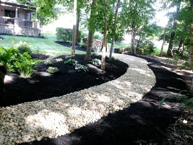 Professional yard maintenance in Edmonds, WA by Angel Miguel's landscaping maintenance service