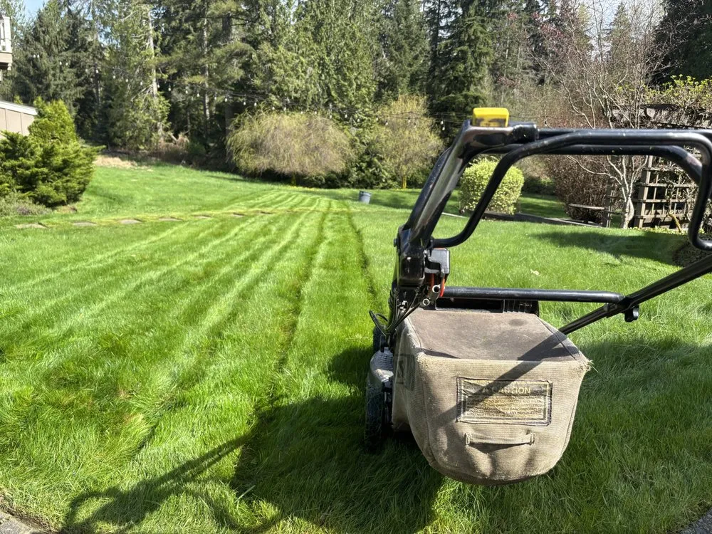 Top-rated landscaping services in Edmonds, WA by Angel Miguel's landscaping maintenance service