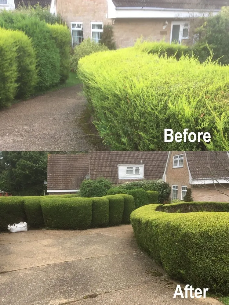 Reliable landscaping services in Edmonds, WA by Angel Miguel's landscaping maintenance service