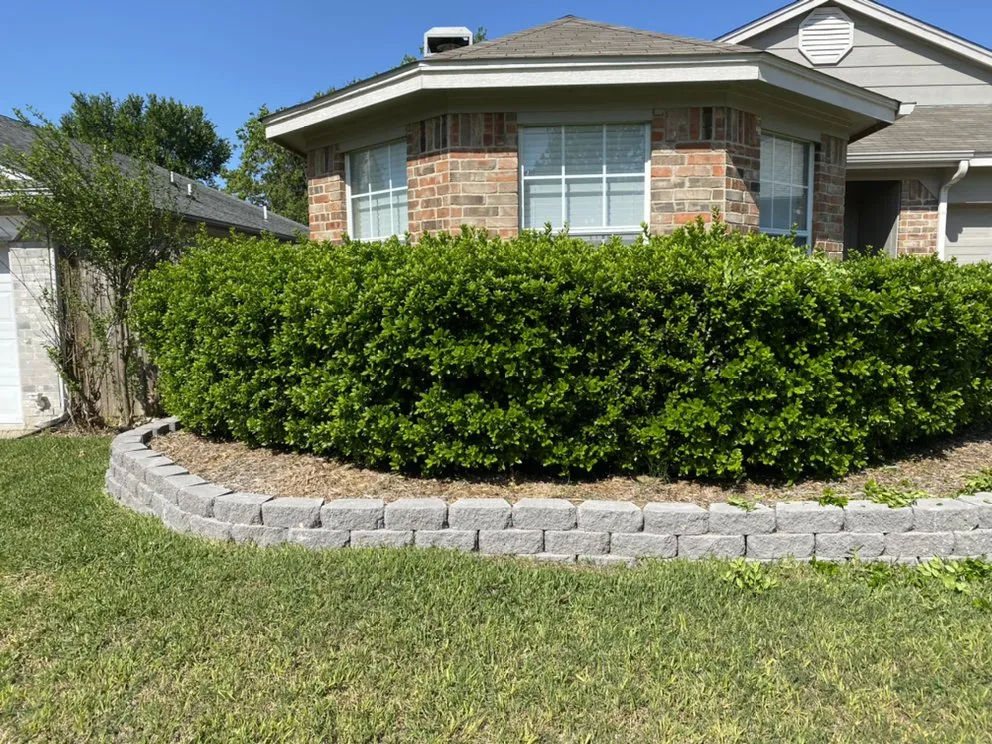 Local garden landscaping experts serving Arlington, TX - Angel Monkey lawn crew