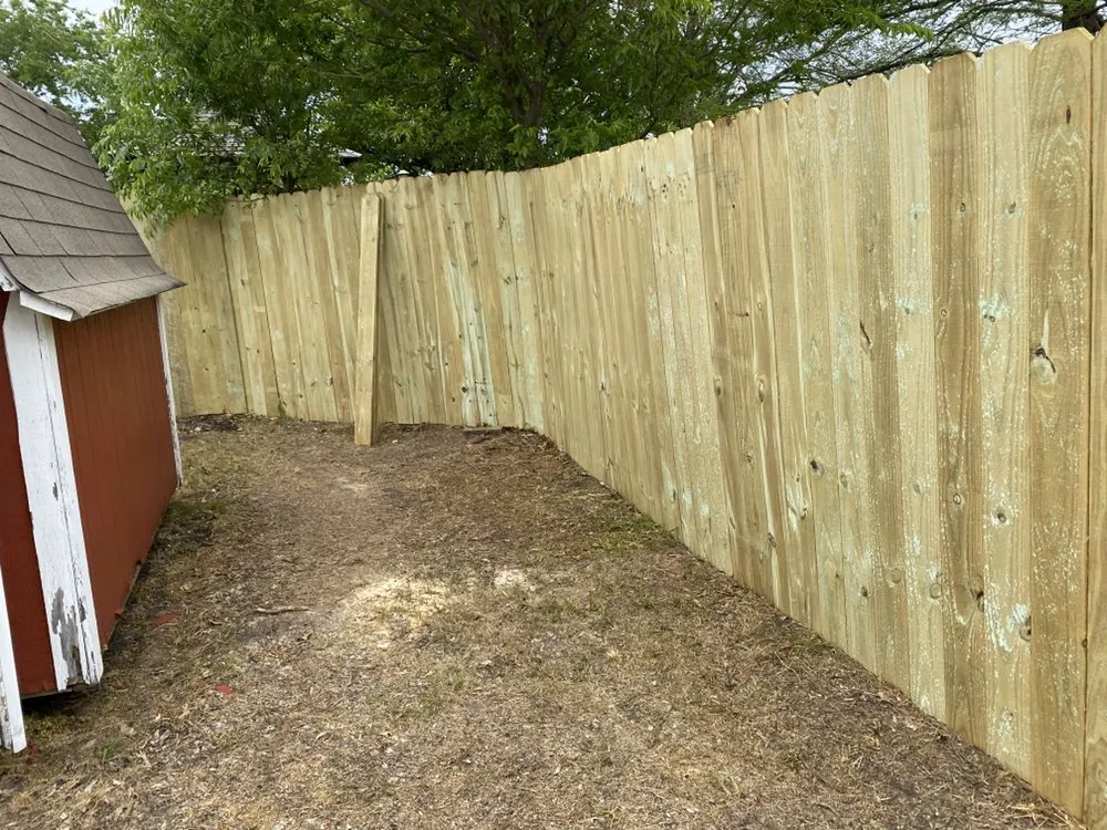 Top-rated yard maintenance for beautiful yards across Arlington, TX - Angel Monkey lawn crew