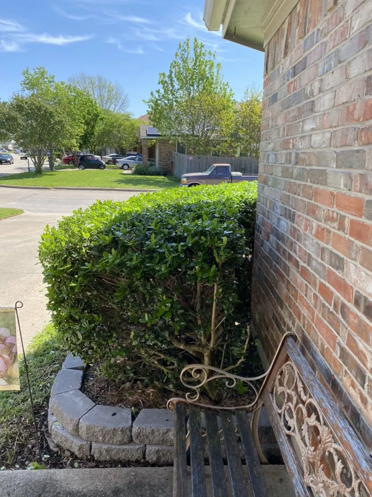 Affordable residential landscaping for beautiful yards across Arlington, TX - Angel Monkey lawn crew