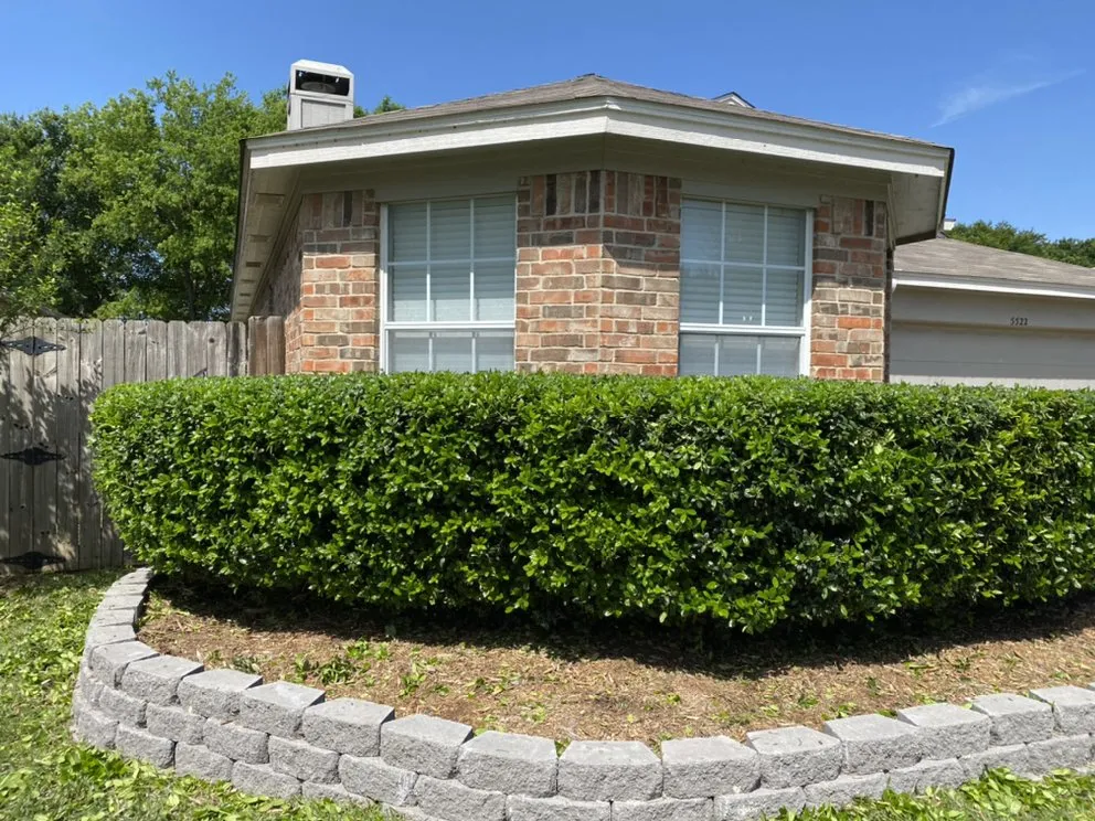 Custom landscape design for residential properties across Arlington, TX - Angel Monkey lawn crew