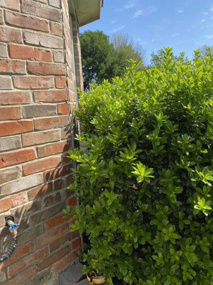 Professional landscape design near you in Arlington, TX by Angel Monkey lawn crew