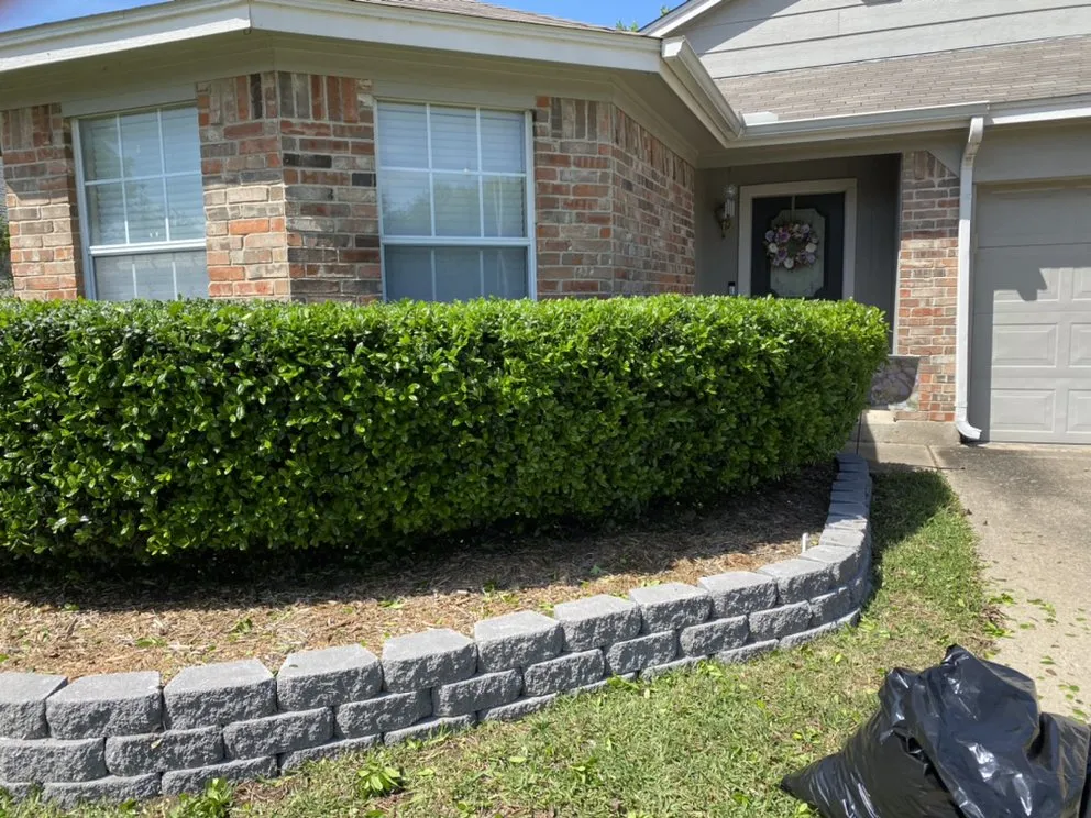 Reliable landscape design experts serving Arlington, TX - Angel Monkey lawn crew