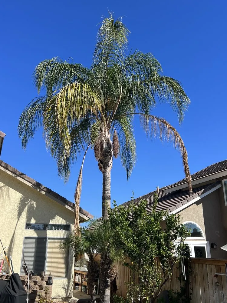 Expert lawn mowing service in Murrieta, CA - Angel Nice & Green Maintenance