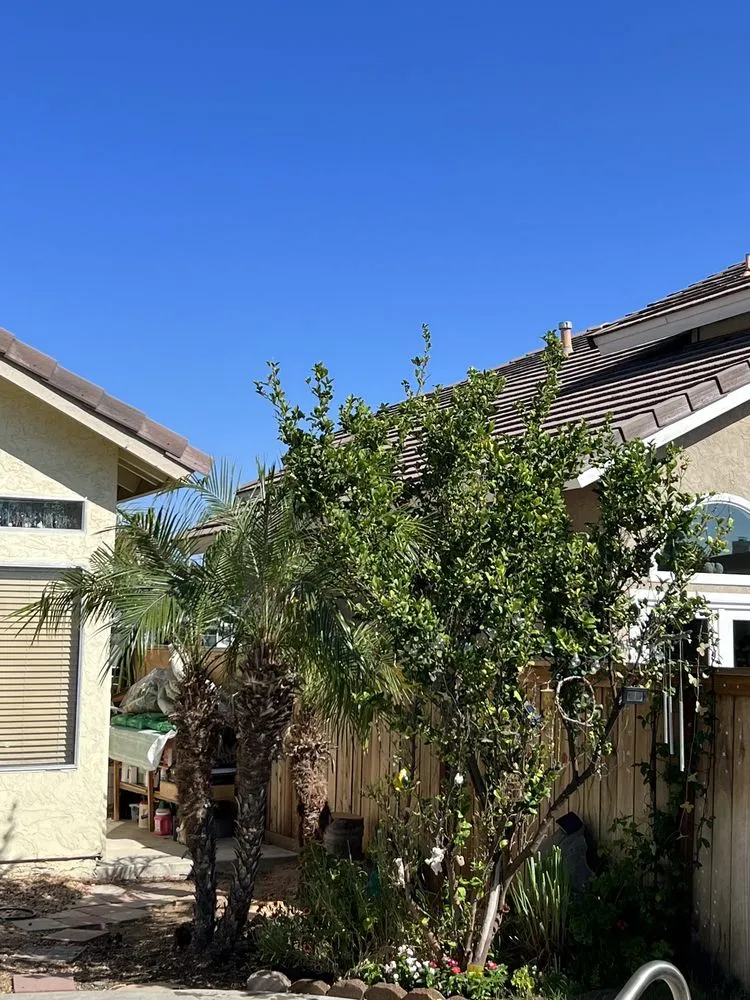 Affordable garden landscaping experts serving Murrieta, CA - Angel Nice & Green Maintenance