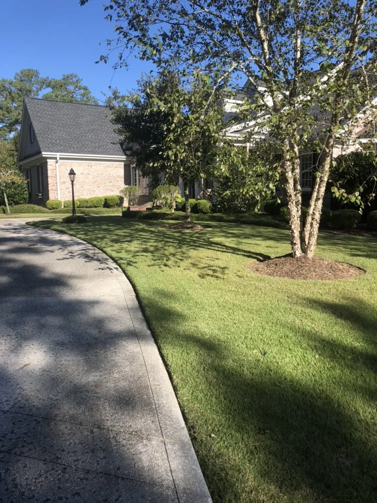 Affordable outdoor landscaping in Pawleys Island, SC by Angel Oak Lawn Care Solutions