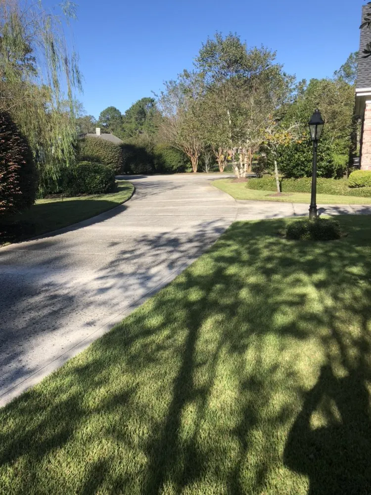 Affordable landscaping services in Pawleys Island, SC - Angel Oak Lawn Care Solutions