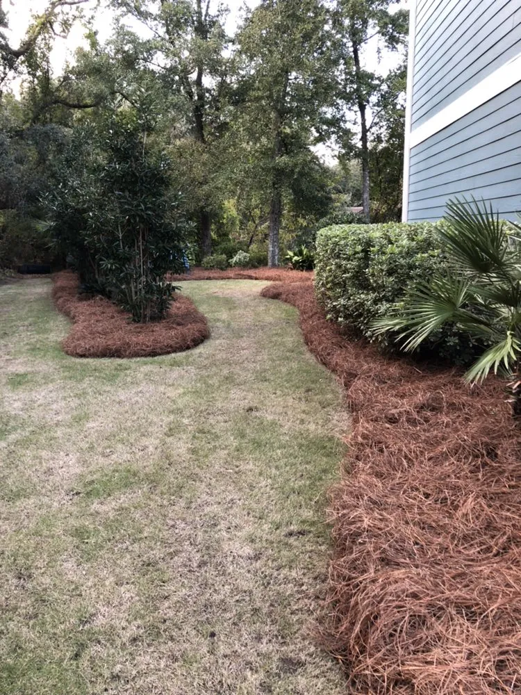 Trusted landscaping services experts serving Pawleys Island, SC - Angel Oak Lawn Care Solutions