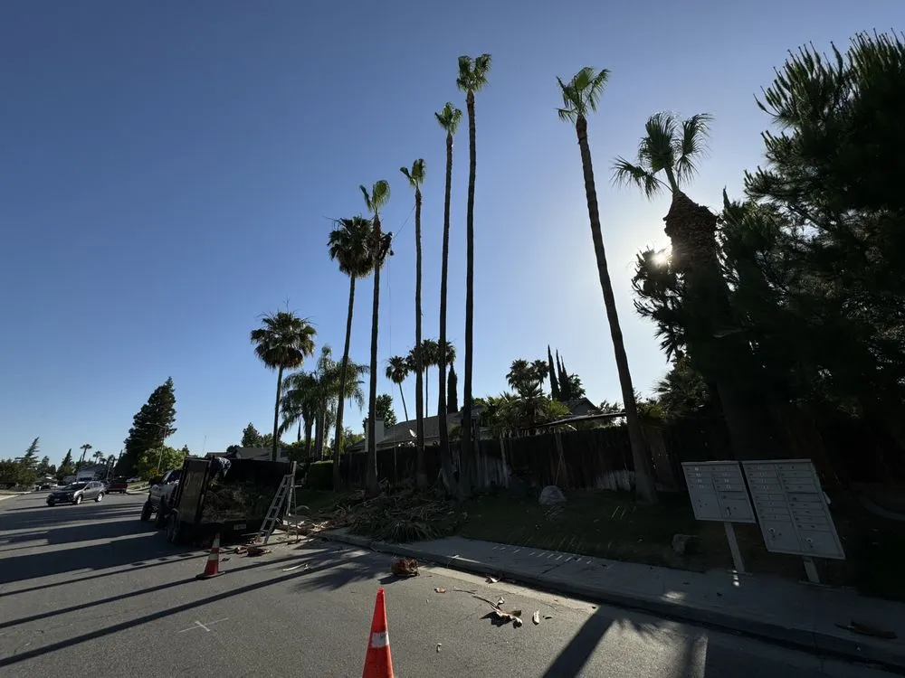 Top-rated landscape design in Bakersfield, CA by Angel Soto Landscaping