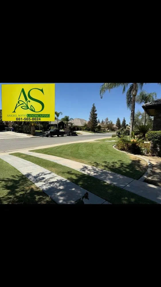 Trusted yard cleanup service in Bakersfield, CA by Angel Soto Landscaping